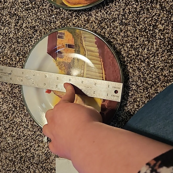 Block by Gear Country Farm Roster 8 inch plates set of 2 - Picture 5 of 5